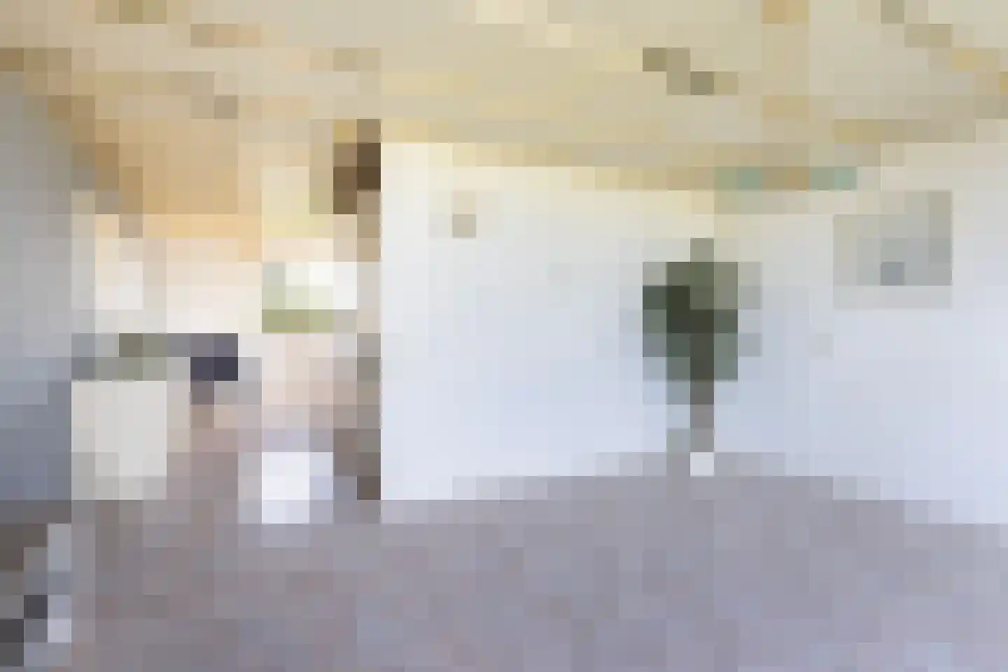 Dr. Albert Schweitzerdreef 121 Maassluis thumbnail 29