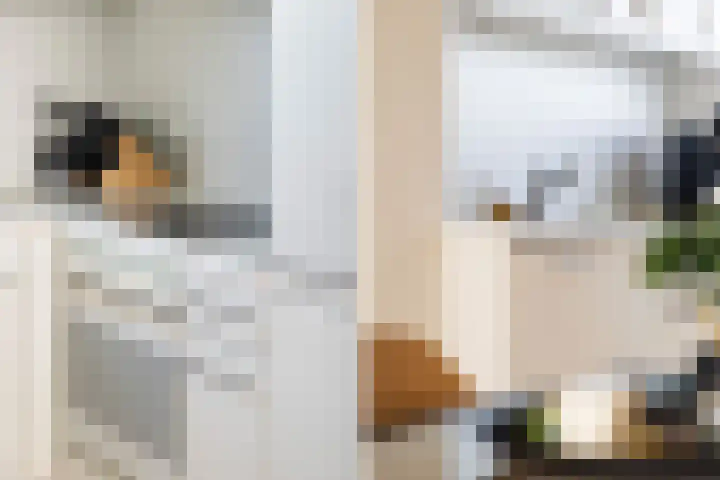 Dr. Albert Schweitzerdreef 133 Maassluis thumbnail 26