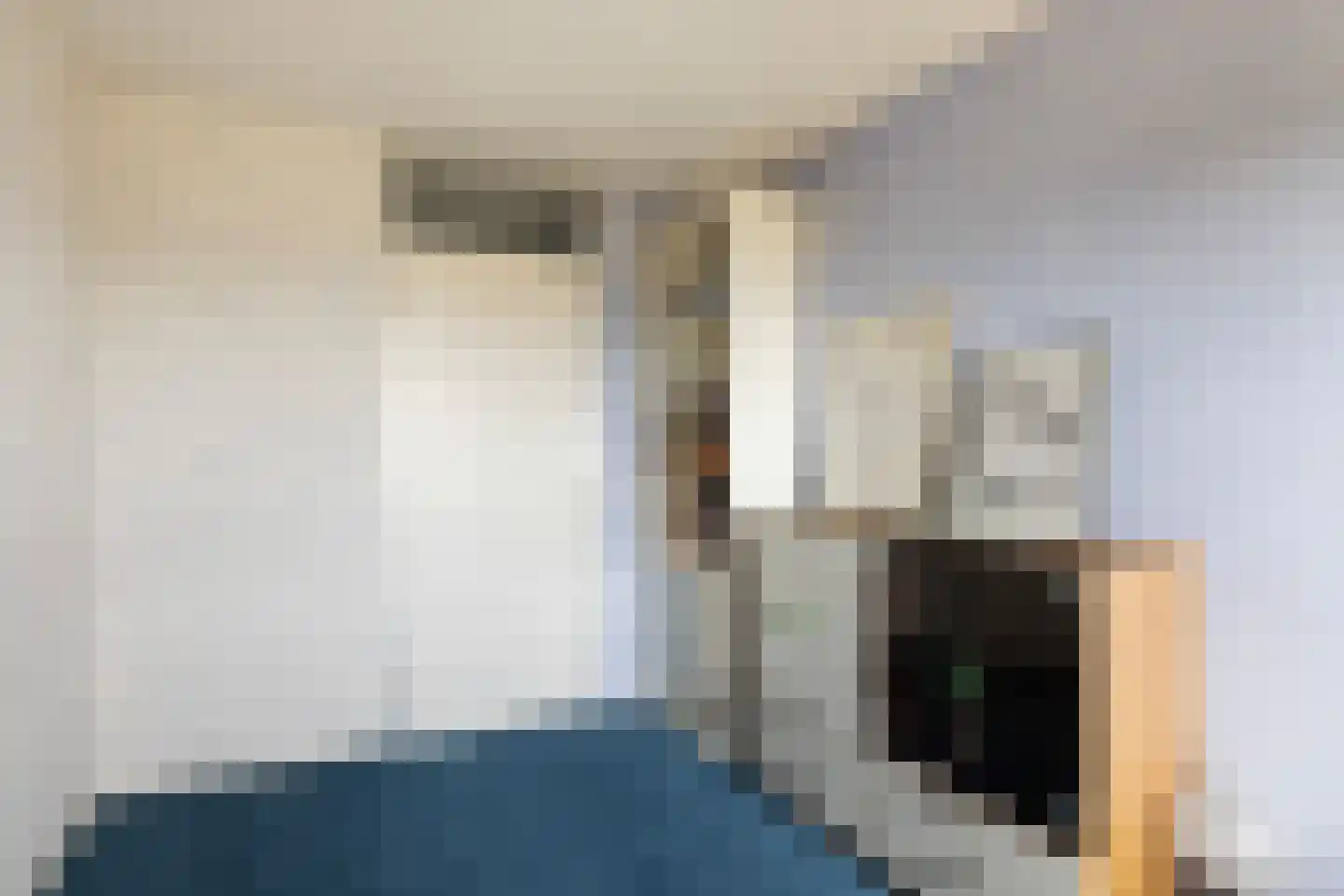 Dr. Albert Schweitzerdreef 133 Maassluis thumbnail 30