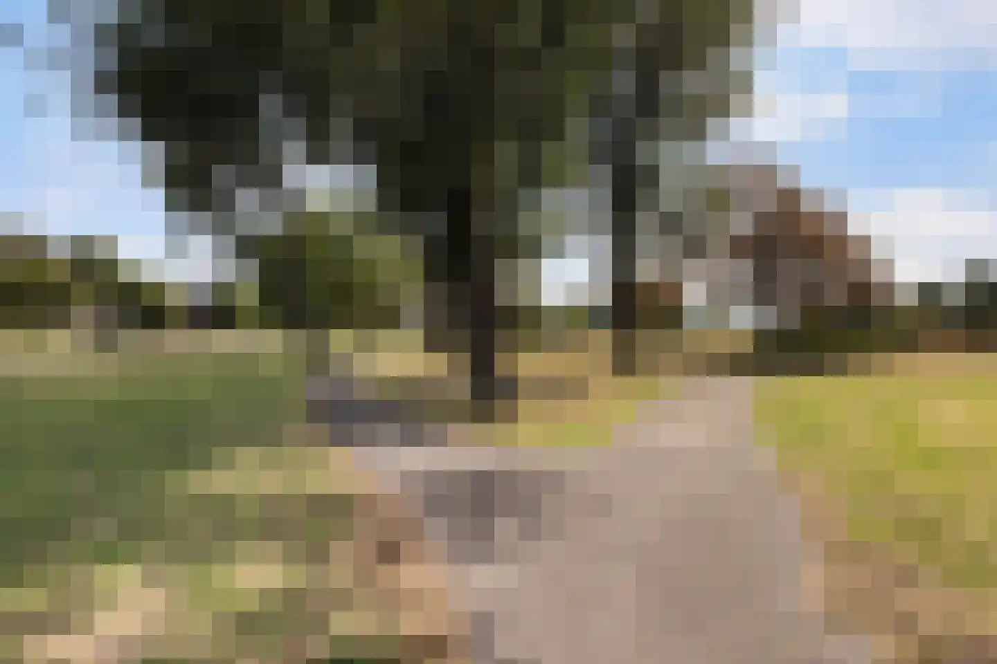 Dr. Albert Schweitzerdreef 133 Maassluis thumbnail 37
