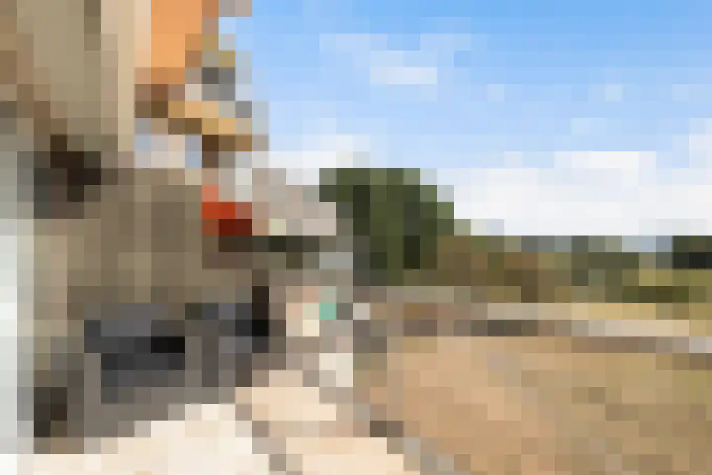 Dr. Albert Schweitzerdreef 133 Maassluis thumbnail 7