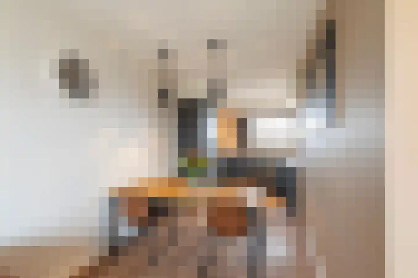 Dr. Albert Schweitzerdreef 169 Maassluis thumbnail 18