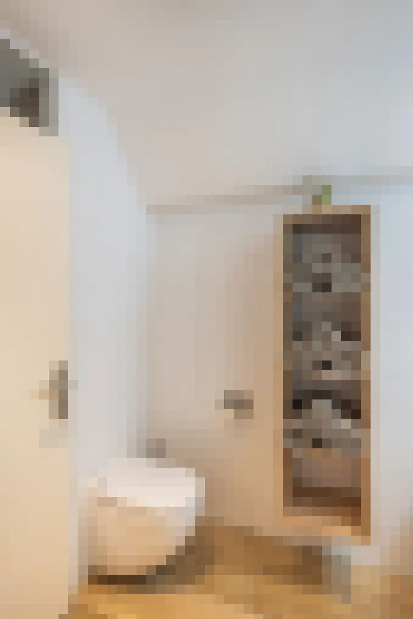 Dr. Albert Schweitzerdreef 169 Maassluis thumbnail 30