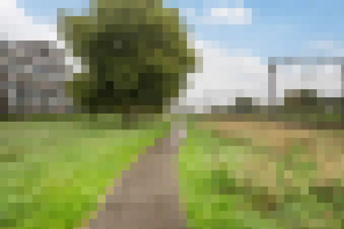 Dr. Albert Schweitzerdreef 169 Maassluis thumbnail 35