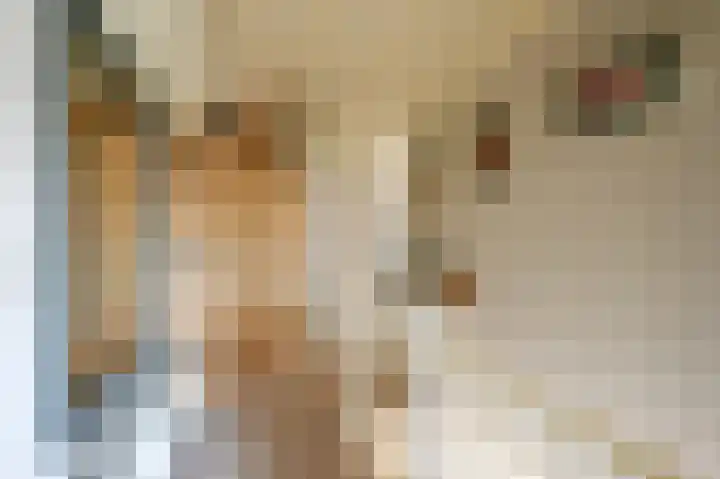 Dr. Albert Schweitzerdreef 181 Maassluis thumbnail 20