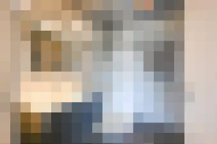 Dr. Albert Schweitzerdreef 181 Maassluis thumbnail 27