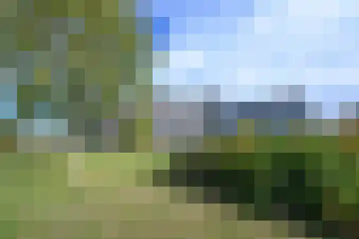 Dr. Albert Schweitzerdreef 181 Maassluis thumbnail 31