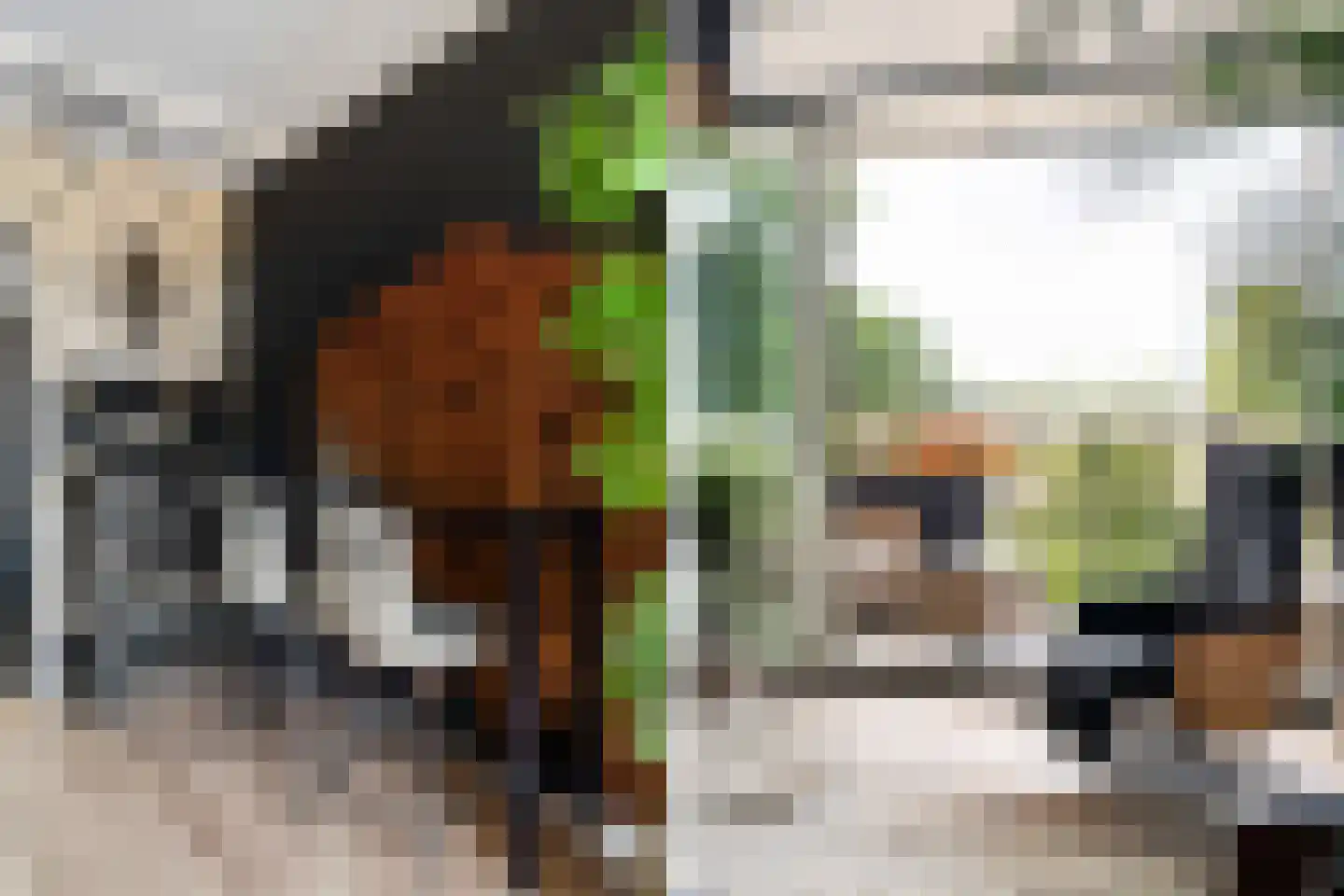 Dr. Albert Schweitzerdreef 25 Maassluis thumbnail 10
