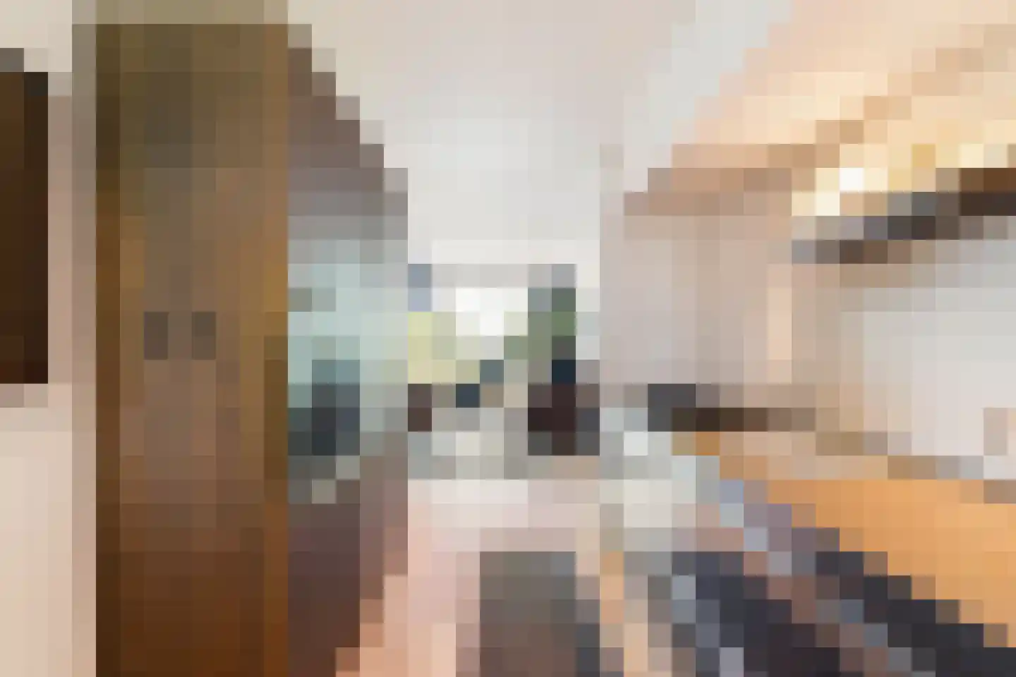 Dr. Albert Schweitzerdreef 25 Maassluis thumbnail 14