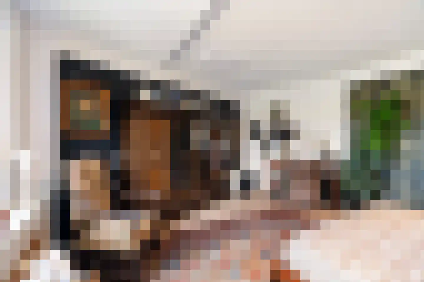 Dr. Albert Schweitzerdreef 25 Maassluis thumbnail 18