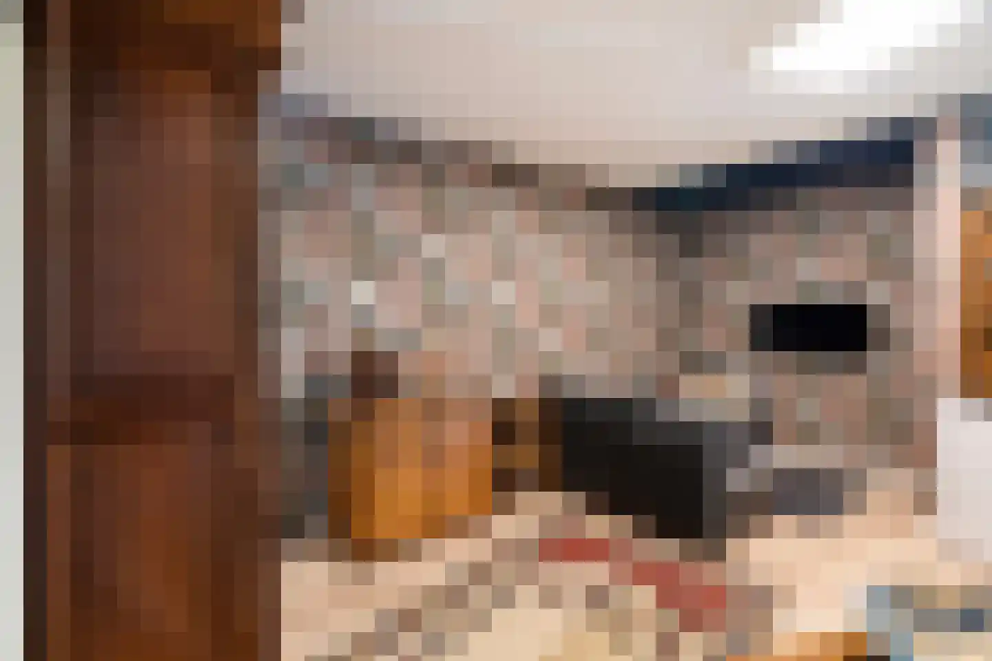 Dr. Albert Schweitzerdreef 25 Maassluis thumbnail 19