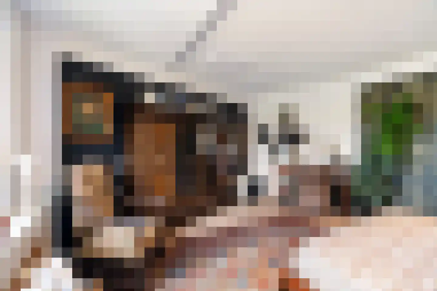 Dr. Albert Schweitzerdreef 25 Maassluis thumbnail 23