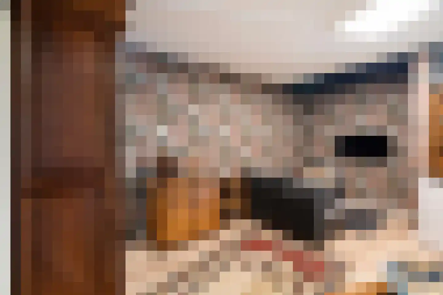 Dr. Albert Schweitzerdreef 25 Maassluis thumbnail 24