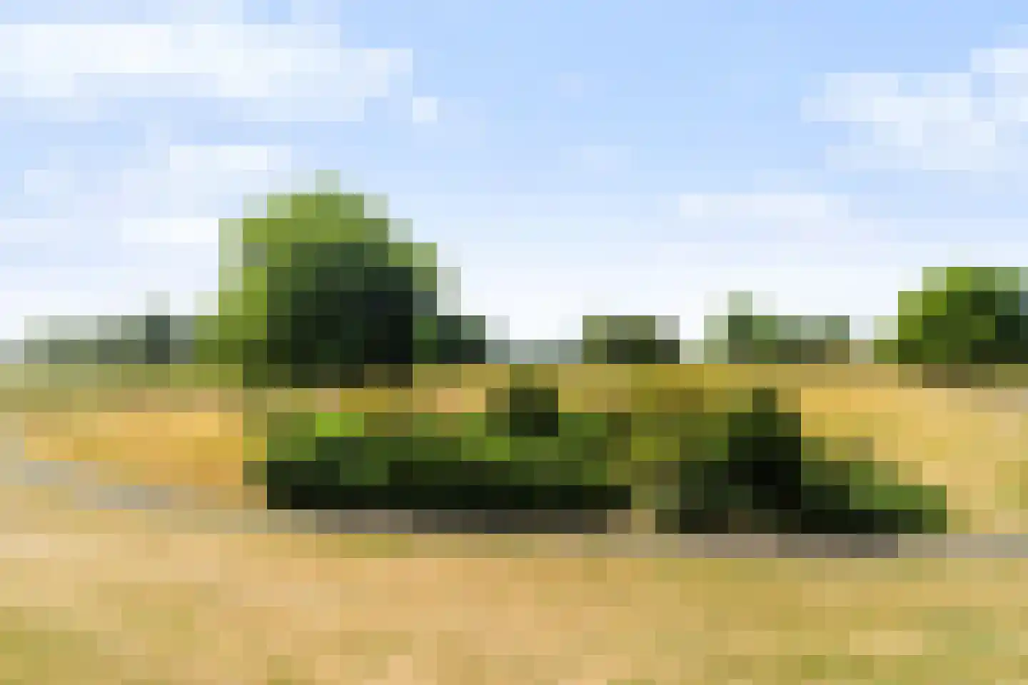 Dr. Albert Schweitzerdreef 25 Maassluis thumbnail 25