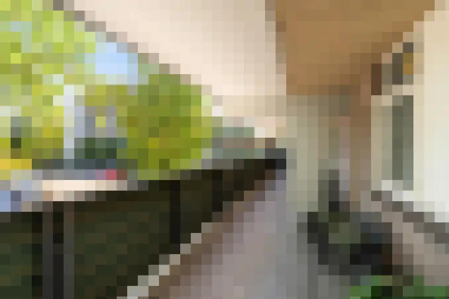 Dr. Albert Schweitzerdreef 25 Maassluis thumbnail 27