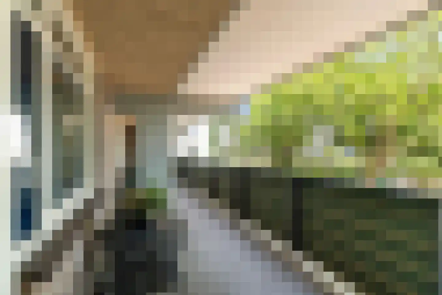 Dr. Albert Schweitzerdreef 25 Maassluis thumbnail 28