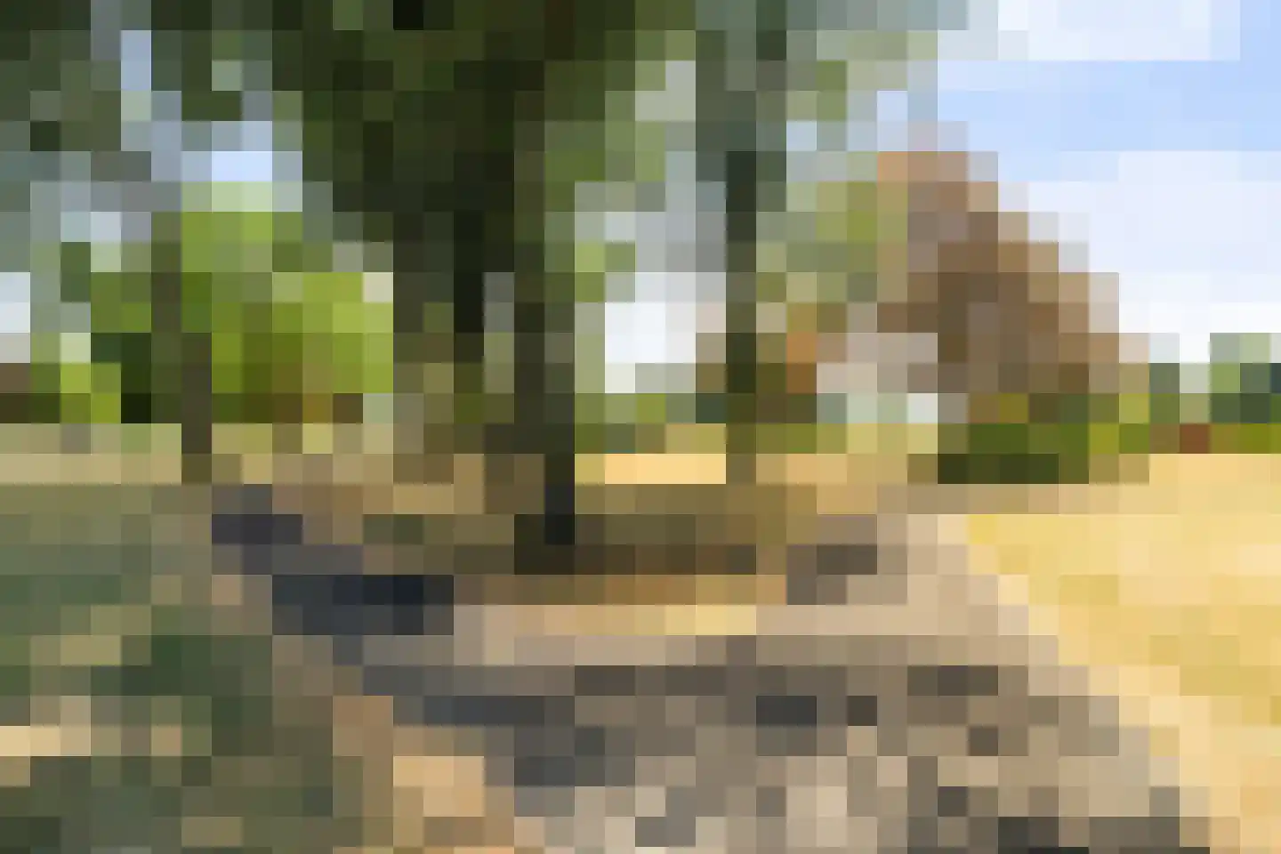 Dr. Albert Schweitzerdreef 25 Maassluis thumbnail 31