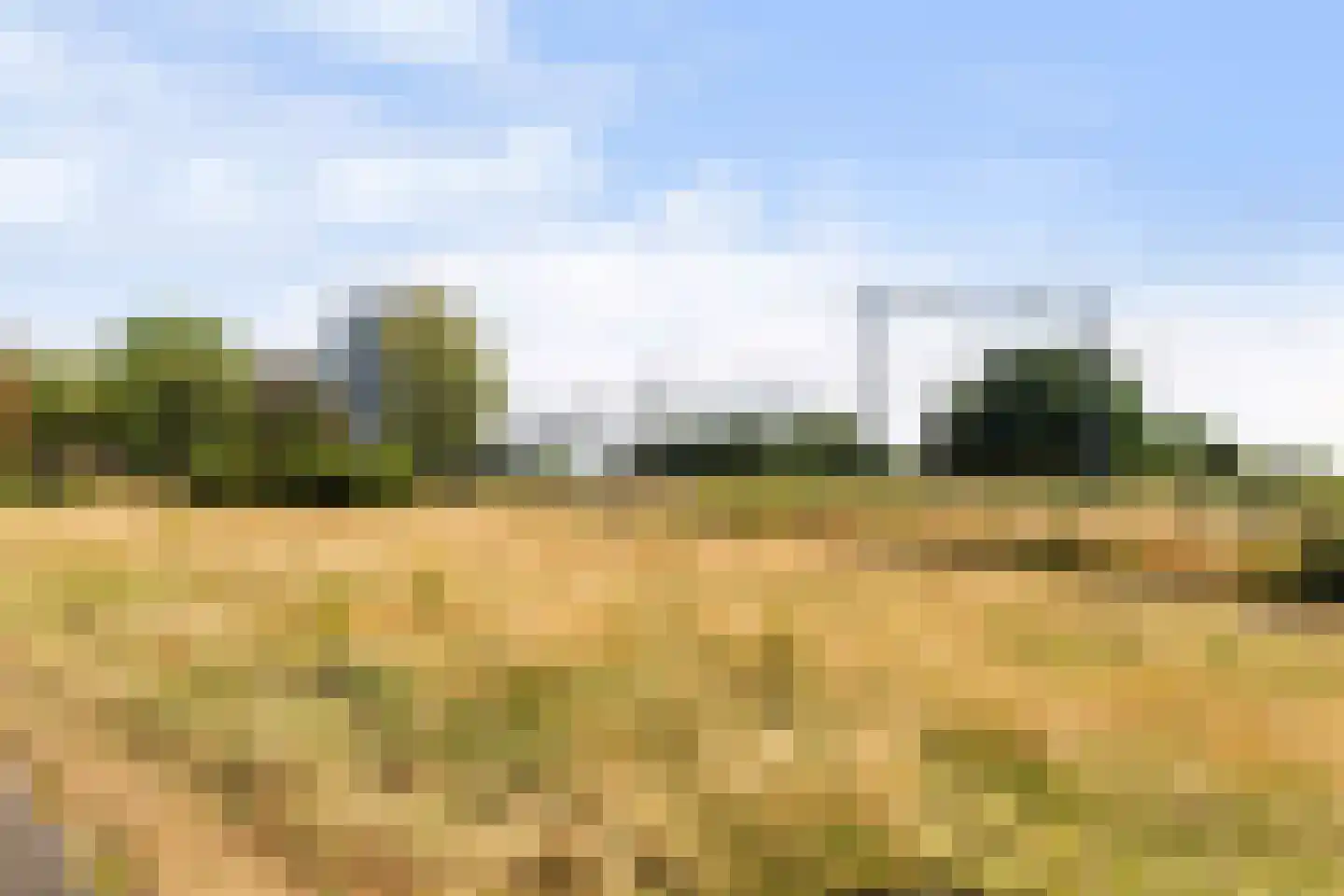 Dr. Albert Schweitzerdreef 25 Maassluis thumbnail 33