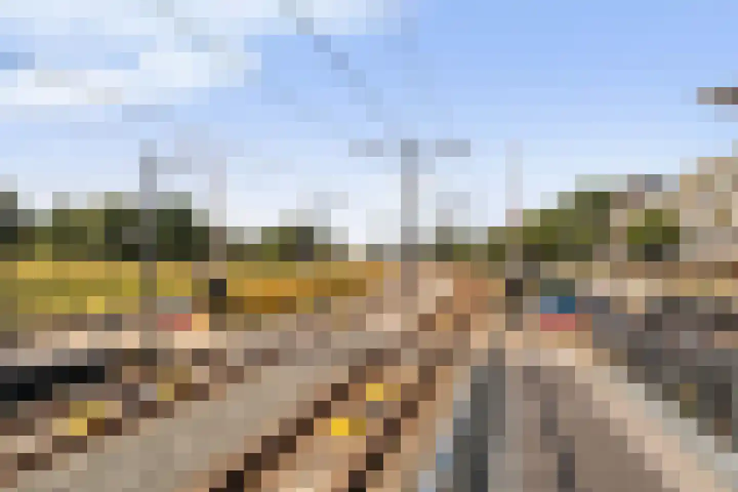 Dr. Albert Schweitzerdreef 25 Maassluis thumbnail 34