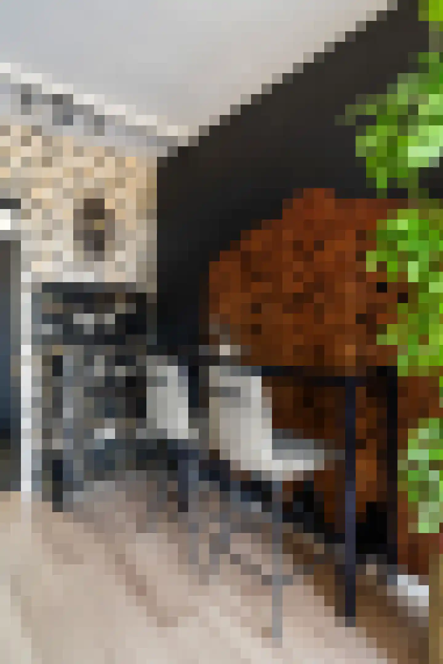 Dr. Albert Schweitzerdreef 25 Maassluis thumbnail 37