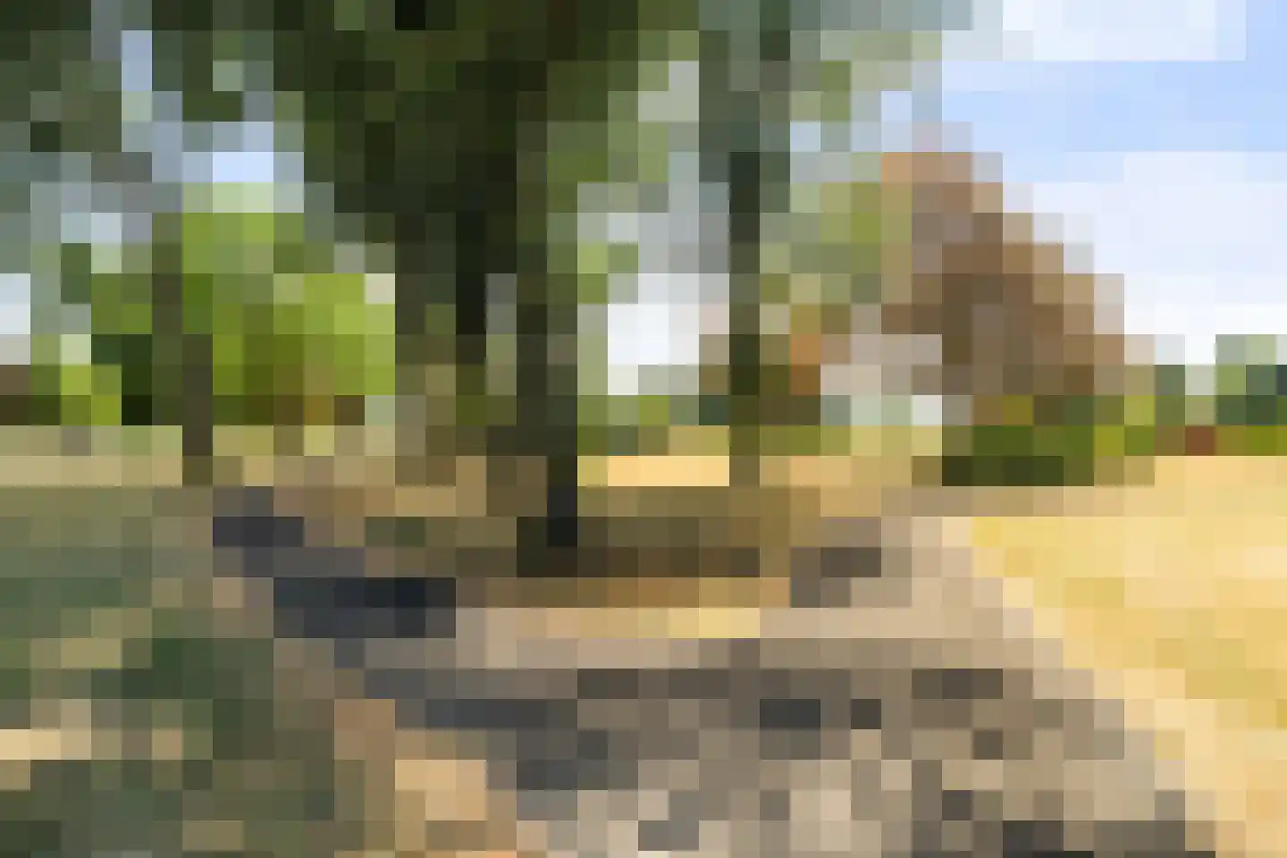 Dr. Albert Schweitzerdreef 25 Maassluis thumbnail 38