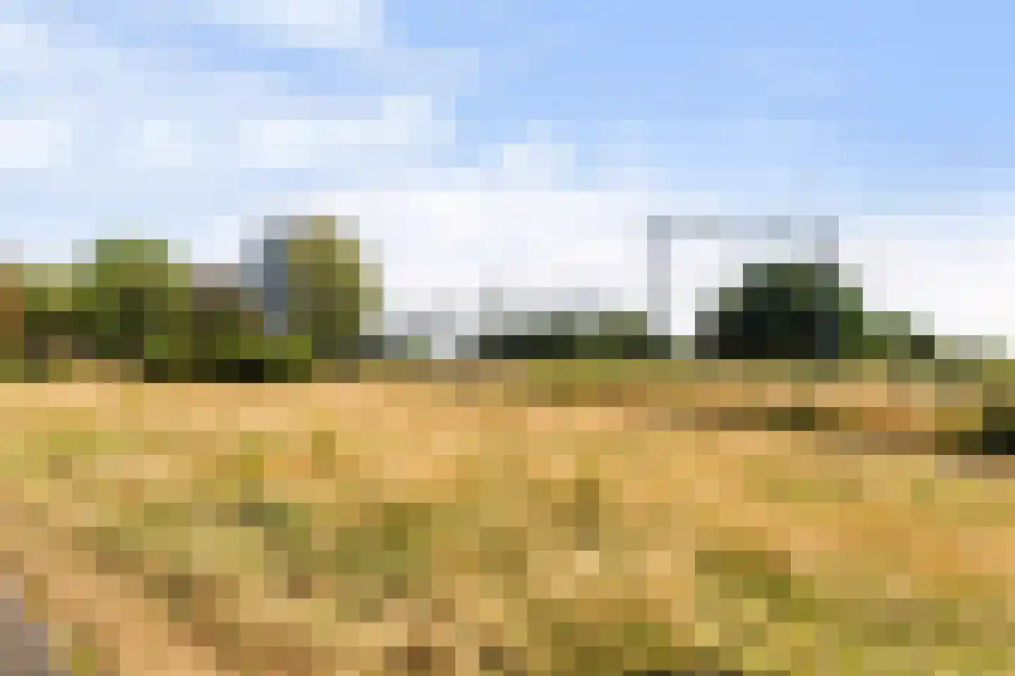 Dr. Albert Schweitzerdreef 25 Maassluis thumbnail 39
