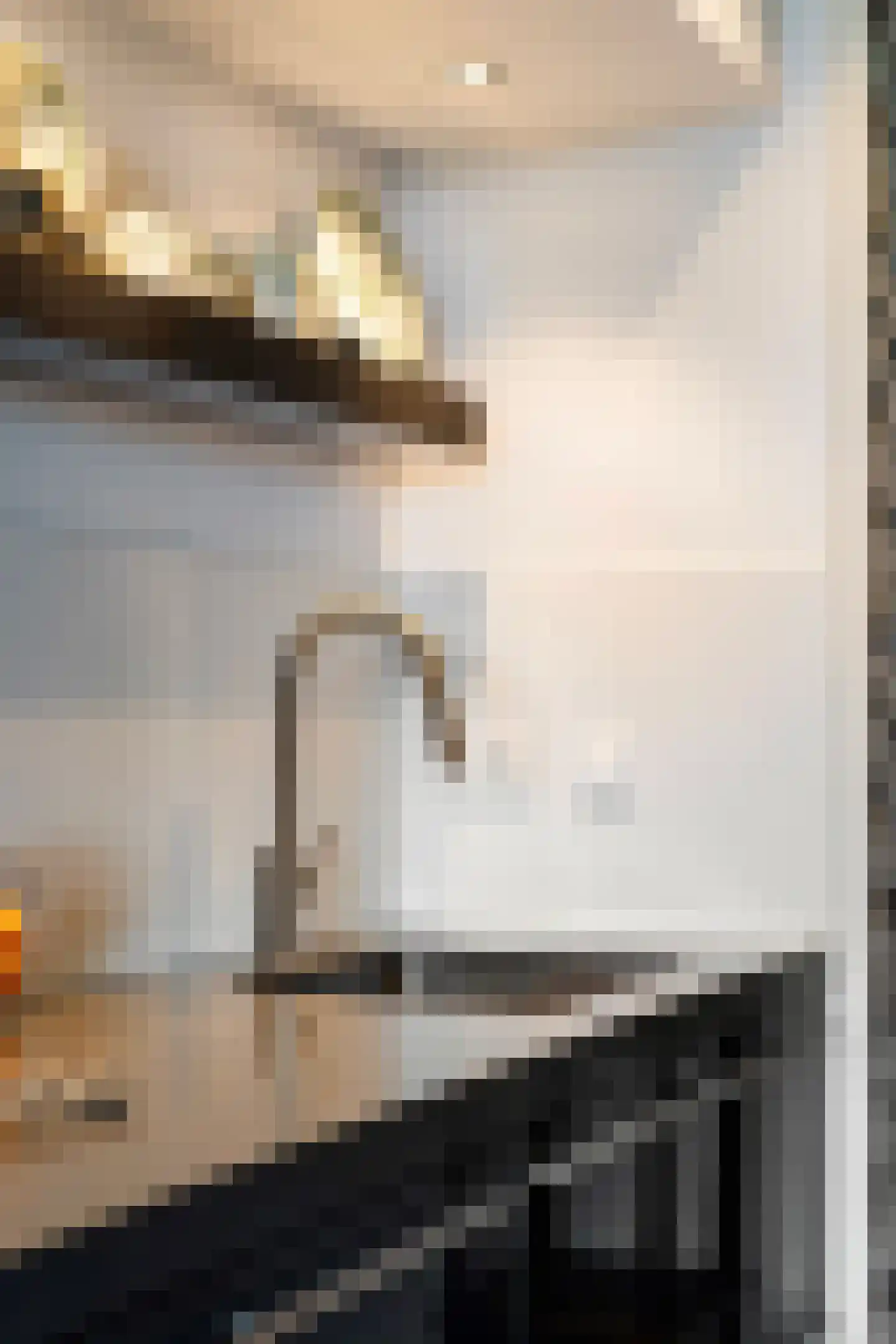 Dr. Albert Schweitzerdreef 25 Maassluis thumbnail 43