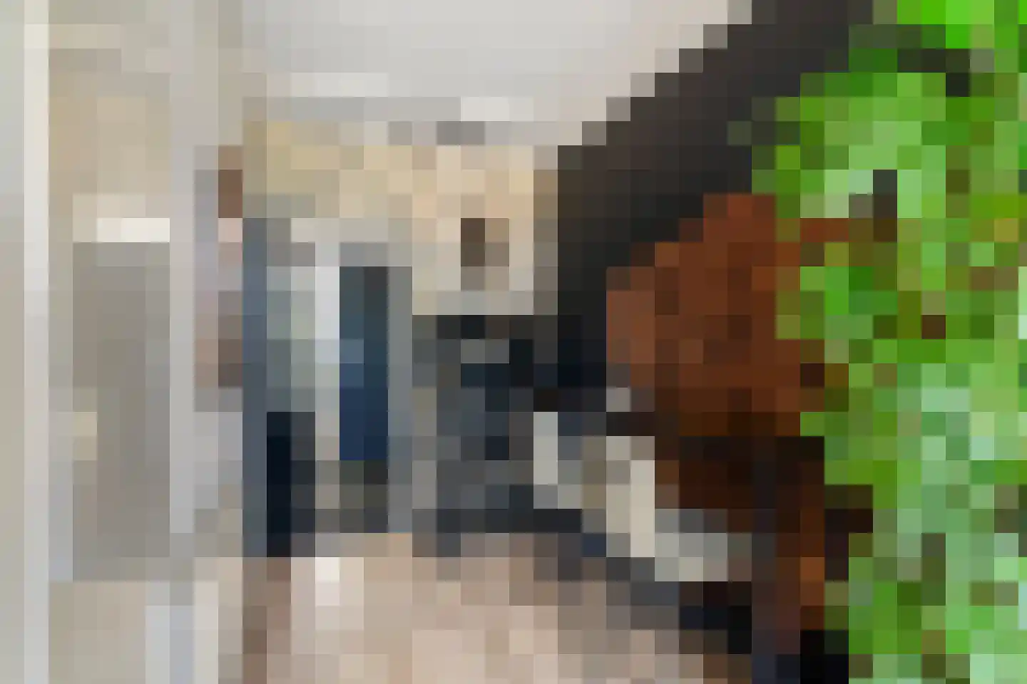 Dr. Albert Schweitzerdreef 25 Maassluis thumbnail 5