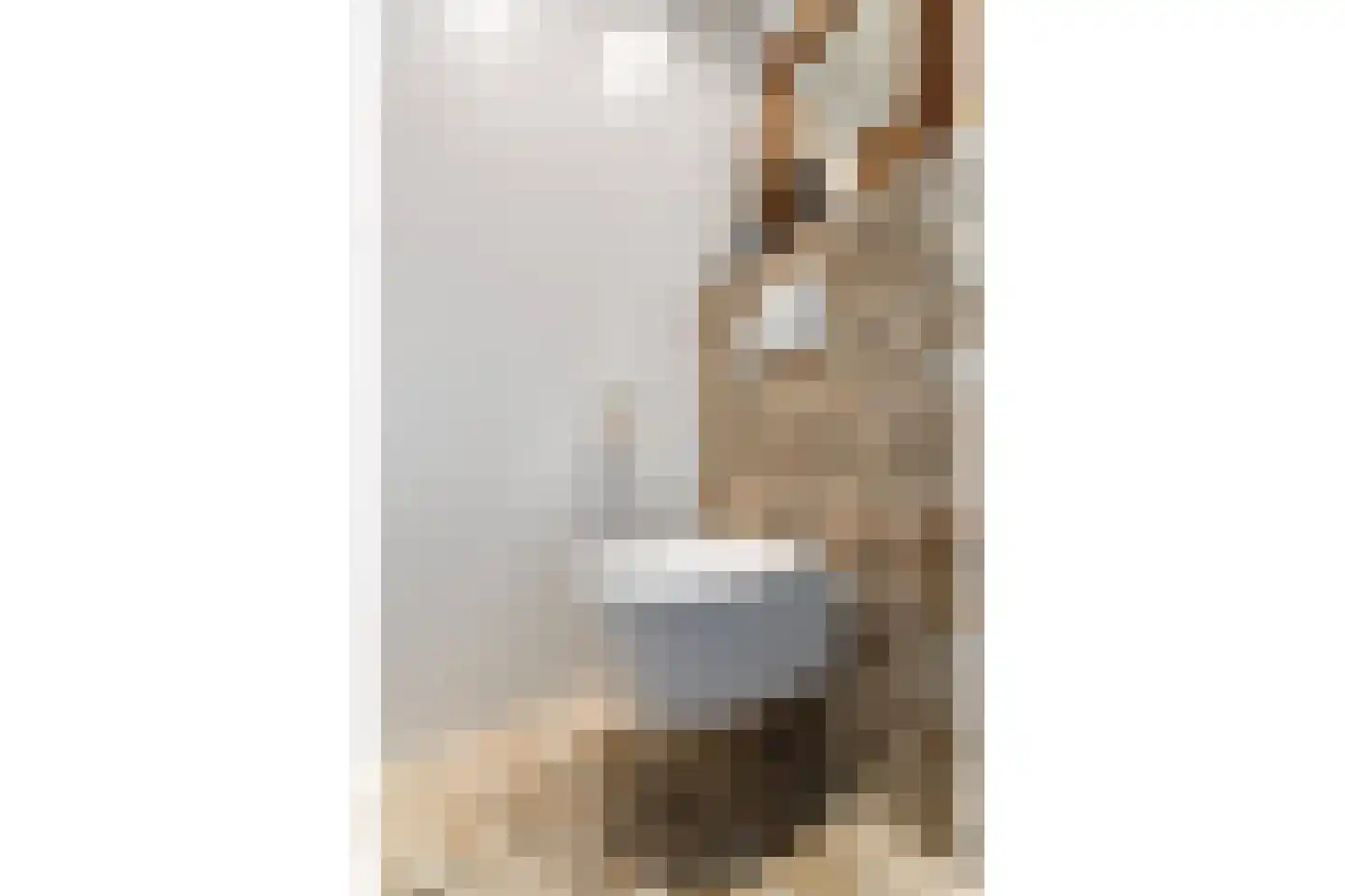Dr. Albert Schweitzerdreef 25 Maassluis thumbnail 6