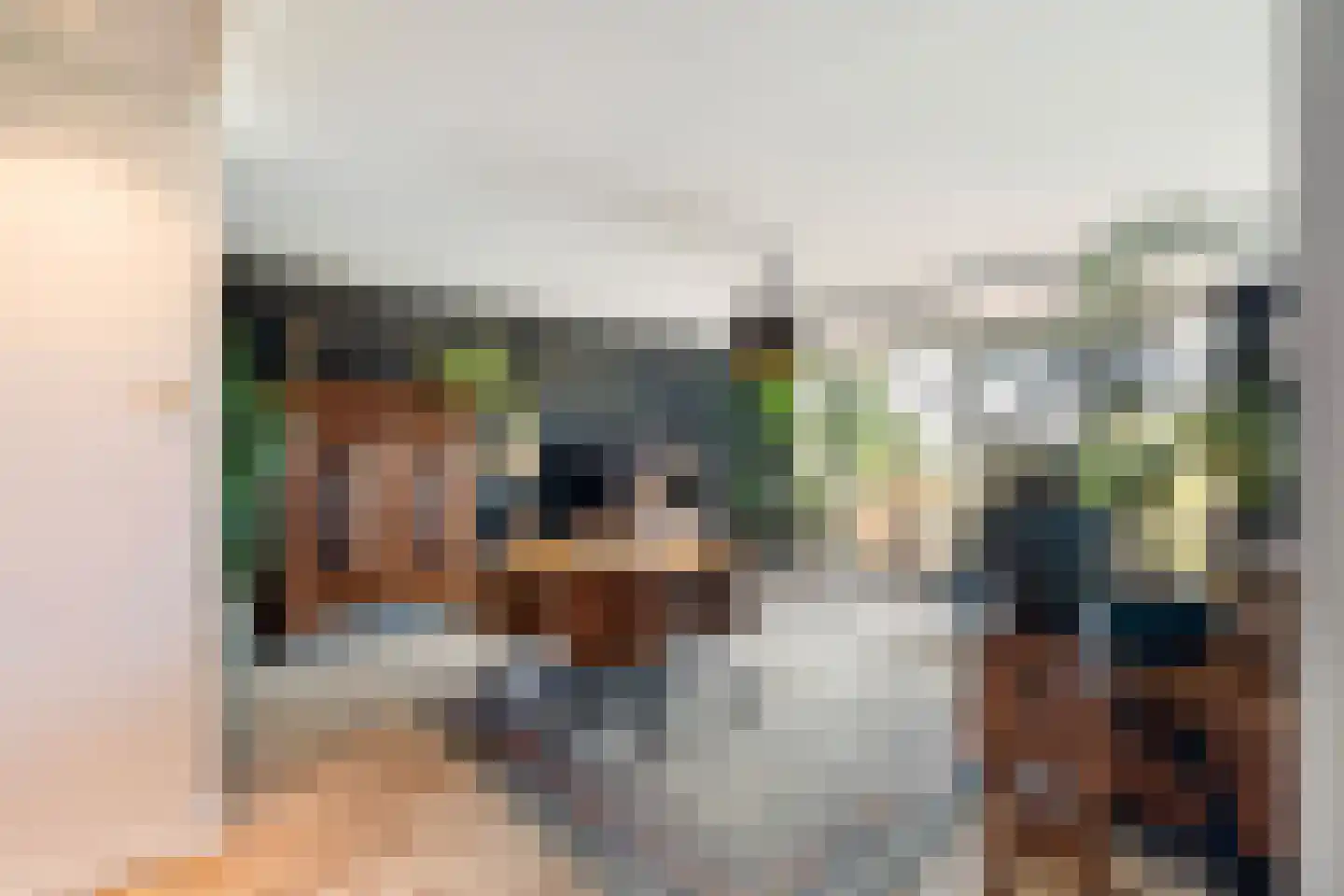 Dr. Albert Schweitzerdreef 25 Maassluis thumbnail 7