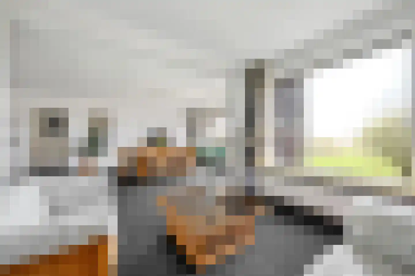 Dr. Albert Schweitzerdreef 261 Maassluis thumbnail 17