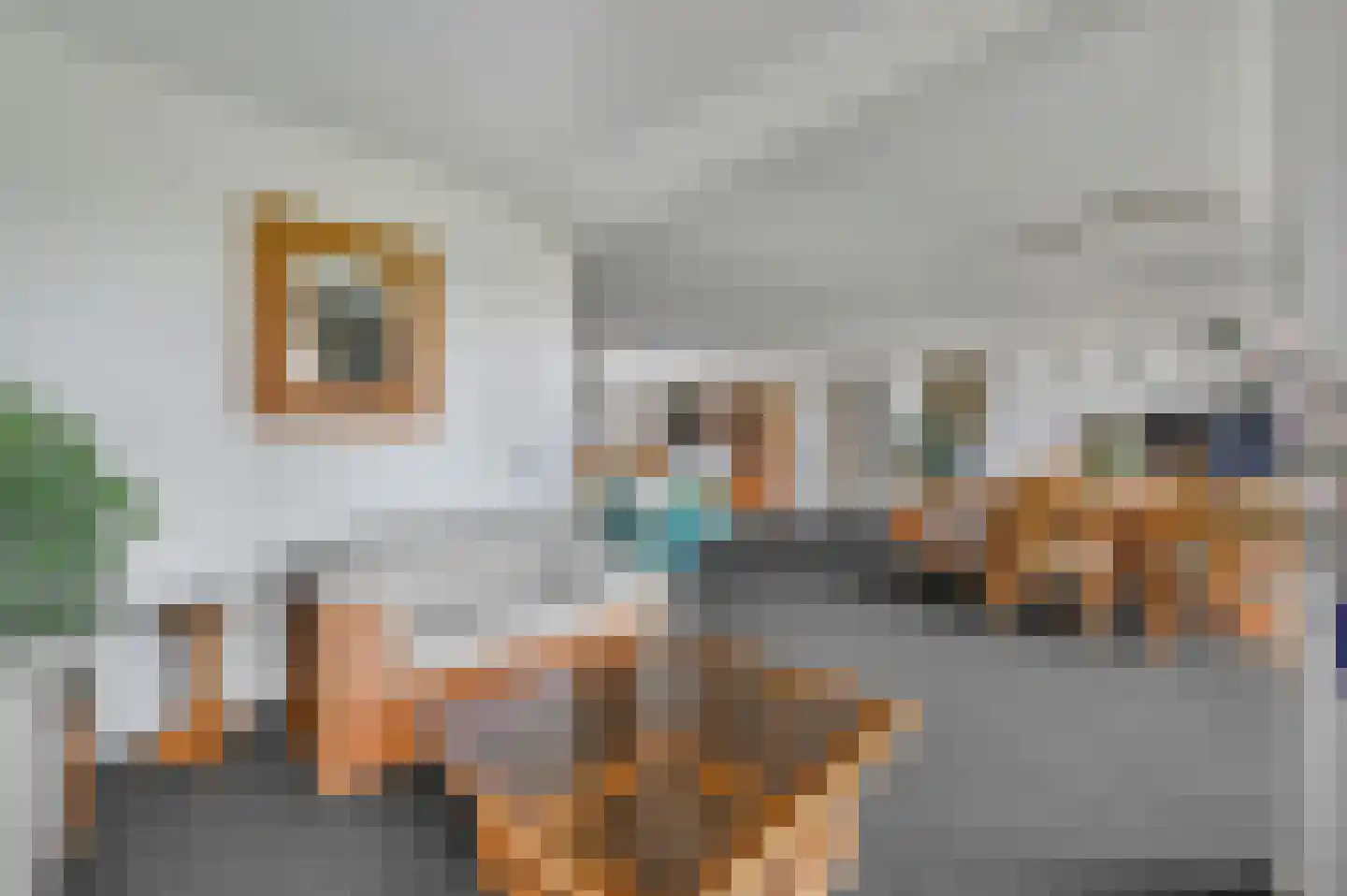 Dr. Albert Schweitzerdreef 261 Maassluis thumbnail 18