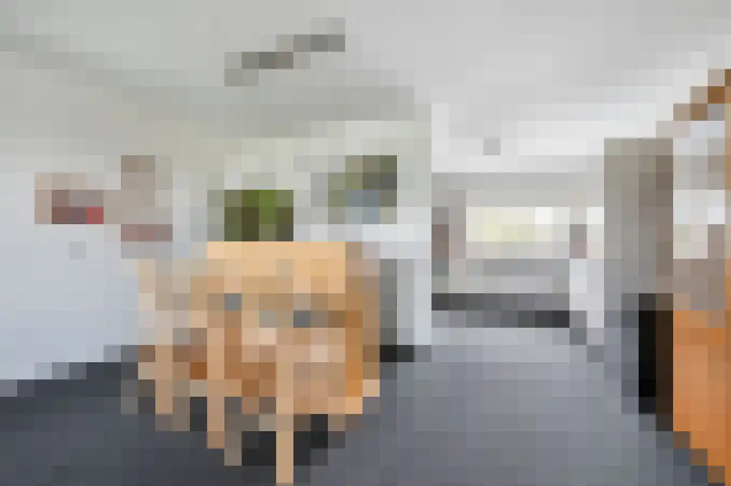 Dr. Albert Schweitzerdreef 261 Maassluis thumbnail 19