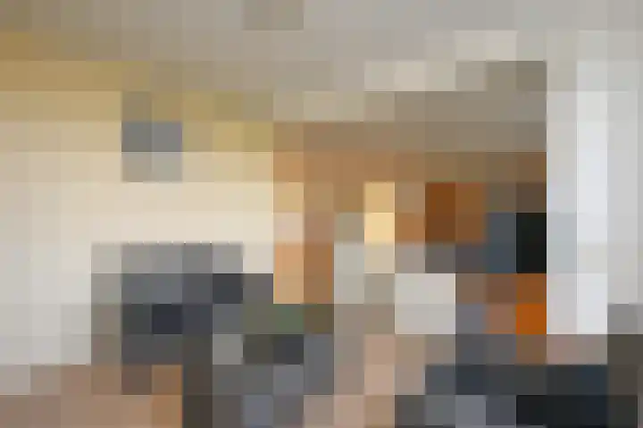 Dr. Albert Schweitzerdreef 267 Maassluis thumbnail 15