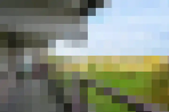 Dr. Albert Schweitzerdreef 267 Maassluis thumbnail 17