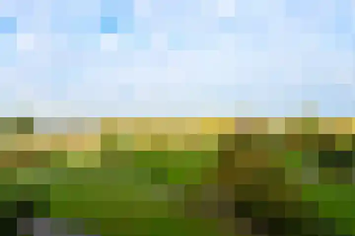 Dr. Albert Schweitzerdreef 267 Maassluis thumbnail 18