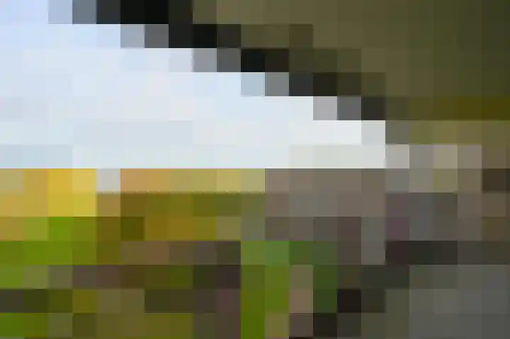 Dr. Albert Schweitzerdreef 267 Maassluis thumbnail 19