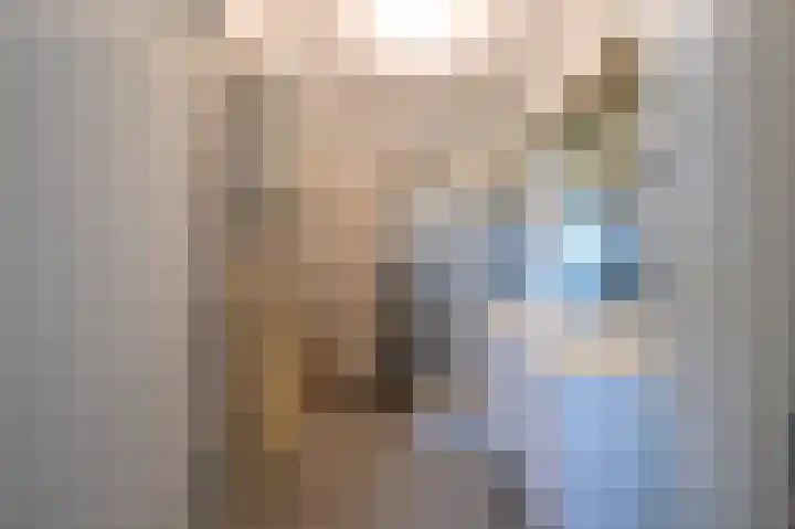 Dr. Albert Schweitzerdreef 267 Maassluis thumbnail 29