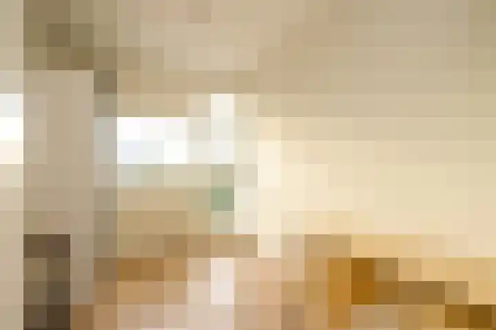 Dr. Albert Schweitzerdreef 267 Maassluis thumbnail 33