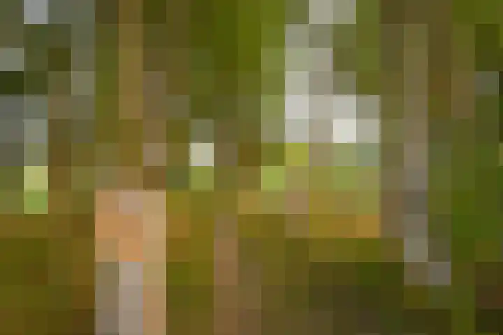 Dr. Albert Schweitzerdreef 267 Maassluis thumbnail 39