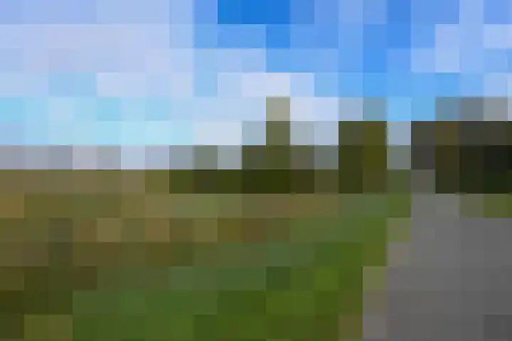 Dr. Albert Schweitzerdreef 267 Maassluis thumbnail 41