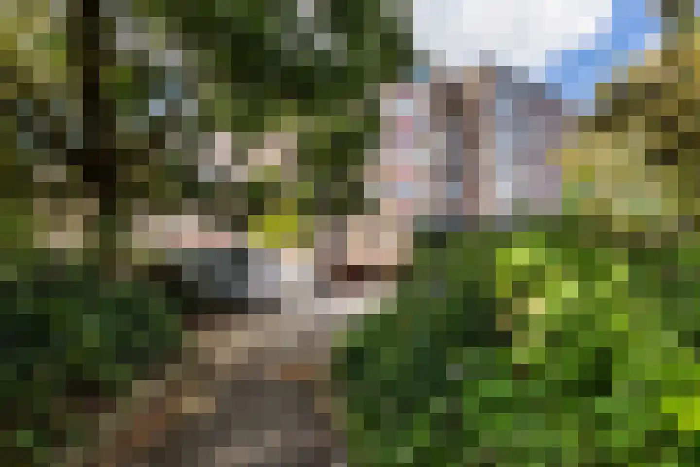Dr. Albert Schweitzerdreef 281 Maassluis thumbnail 6