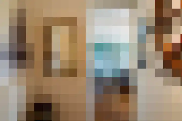 Dr. Albert Schweitzerdreef 331 Maassluis thumbnail 10