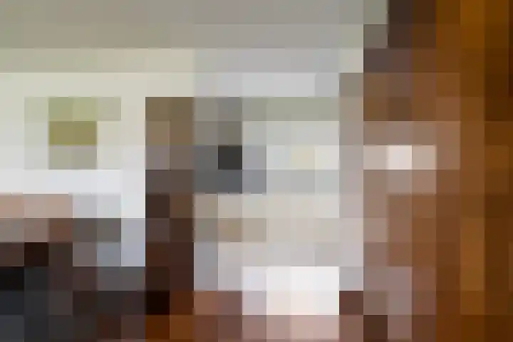Dr. Albert Schweitzerdreef 331 Maassluis thumbnail 18