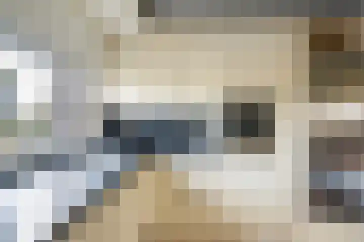 Dr. Albert Schweitzerdreef 331 Maassluis thumbnail 20