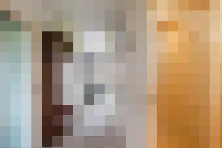 Dr. Albert Schweitzerdreef 331 Maassluis thumbnail 24