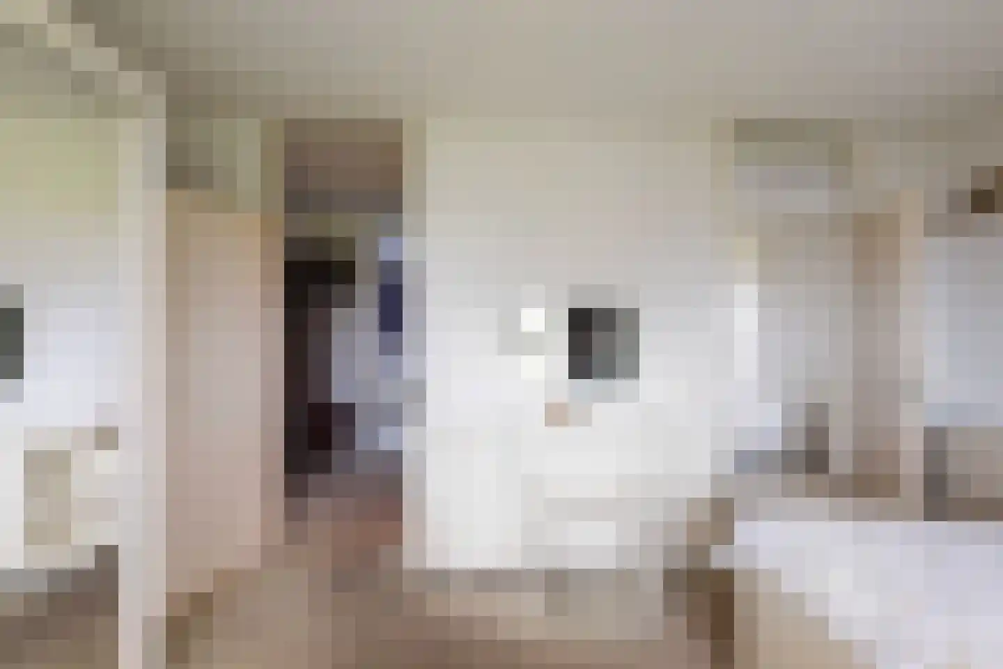 Dr. Albert Schweitzerdreef 331 Maassluis thumbnail 29