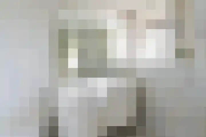 Dr. Albert Schweitzerdreef 331 Maassluis thumbnail 31
