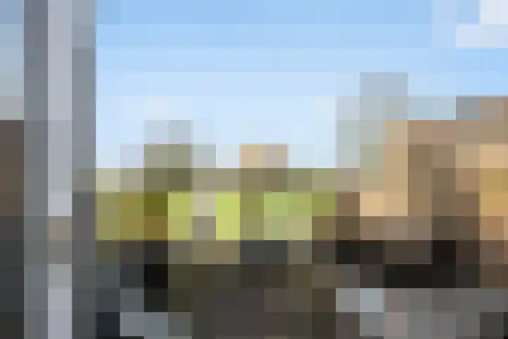 Dr. Albert Schweitzerdreef 331 Maassluis thumbnail 37
