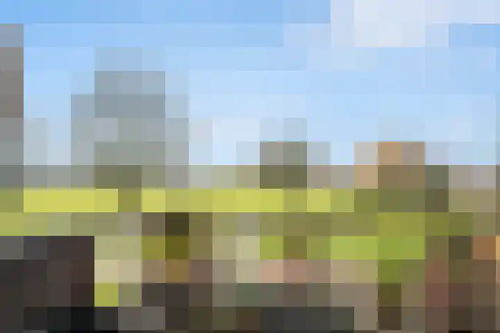 Dr. Albert Schweitzerdreef 331 Maassluis thumbnail 38